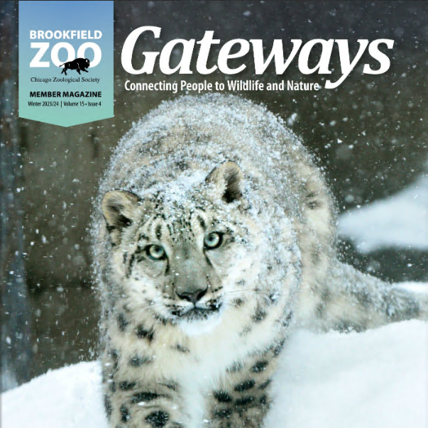 Brookfield Zoo Chicago Gateways Member Magazine