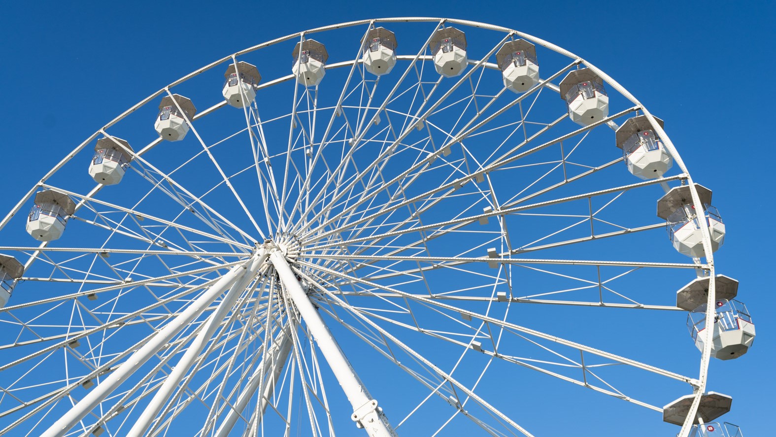 Brookfield Zoo Chicago Plan Your Visit to Brookfield Zoo Chicago