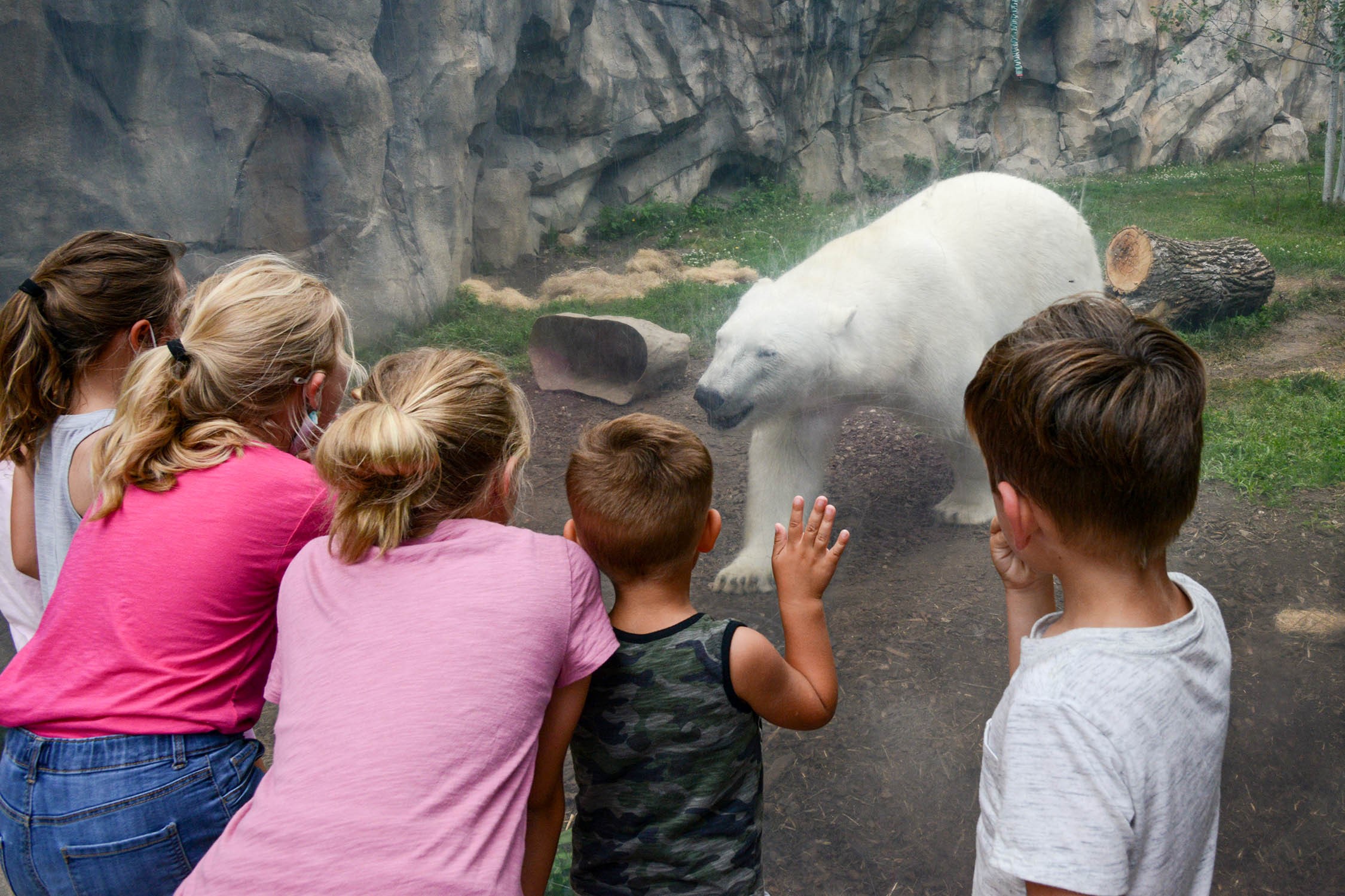 brookfield zoo school field trips