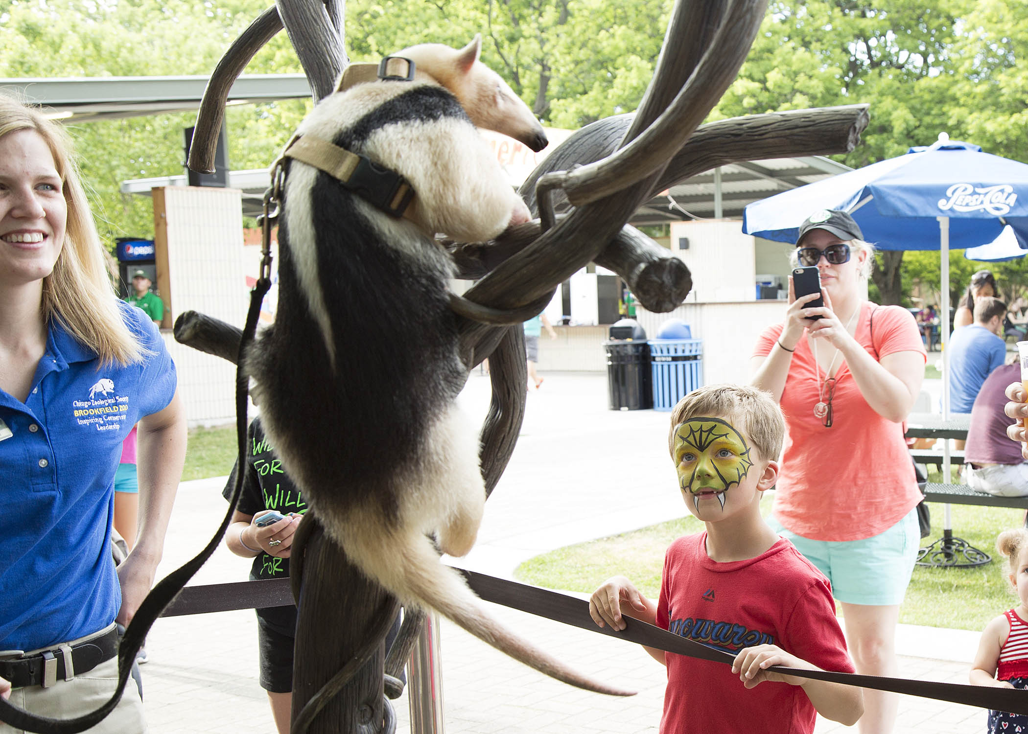 Brookfield Zoo Chicago Brookfield Zoo Chicago Press Room