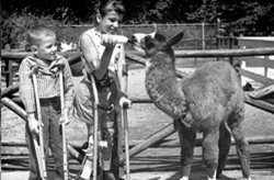 Children's Zoo